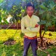 Sumitul