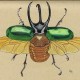 Killing Jar Studio's avatar