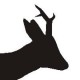 Deer Stalking Books's avatar