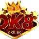 Hình đại diện của dangkydk8