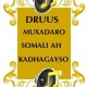 Maxaa Xiga Geerida
