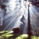 rendedheartpoetry's avatar