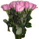 TISNA FLORIST's avatar