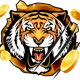 Tigerkoin Official's avatar