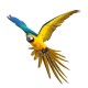 Mr Parrot's avatar