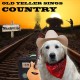 Music for Dogs's avatar