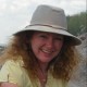Carol Donaldson's avatar
