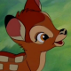 bambi2019's avatar