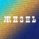 Жизнь