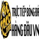 Hình đại diện người dùng