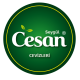 Kullanıcı avatarı
