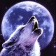 BoboSixx's avatar
