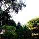 Nkully Luphindo.'s avatar