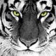 T Sense's avatar