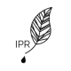 itsprobablyrob Avatar