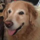 SandySays' Weblog's avatar
