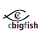 cbigfish's avatar