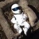 Avatar di Divilinux