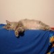 Avatar di fede63