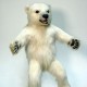 jumpingpolarbear's avatar