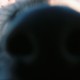 corkshoesandsparrows's avatar