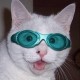 Nick's avatar