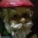 Gnomeo's avatar