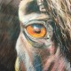 alexcharcoalhorse's avatar