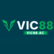 VIC88's avatar