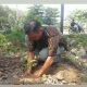 Avatar pengguna