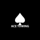 ACE Towing - Towing, Auto & Body repair under one roof's avatar