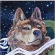The Old Wolf's avatar