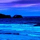 wendy wallach Avatar