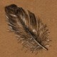 Mary Ingels's avatar