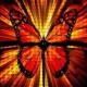 s's avatar