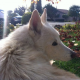 Davidwhitewolf's avatar