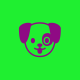 Avatar de milton alexandrino pires
