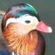 Jon Allen's avatar