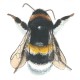 Unknown's avatar
