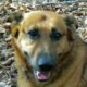 jinker's avatar
