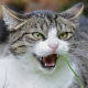 Edna Anger's avatar