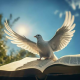Holy Solomon's avatar