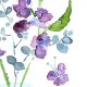 Unknown's avatar