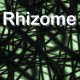 rhizomedigital's avatar