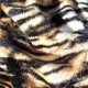 tigerfilly's avatar