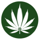 buycannabisoilonline1's avatar