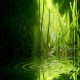 Avatarul lui doar verde