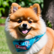 dogdad87's avatar