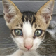 UrviPatelBlog's avatar