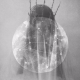 Avatar de Desconocido